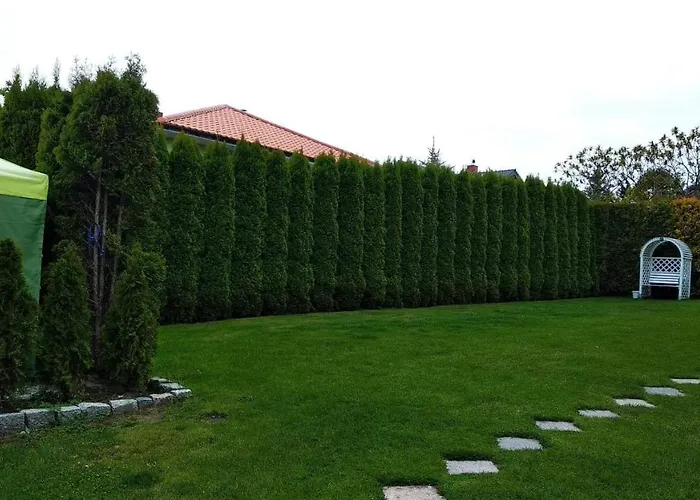 Latarnik 辛安诺泽蒂