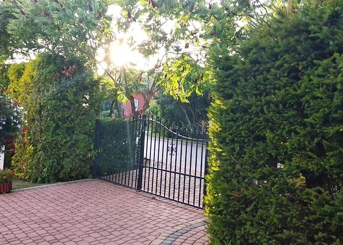 Latarnik 招待所 *