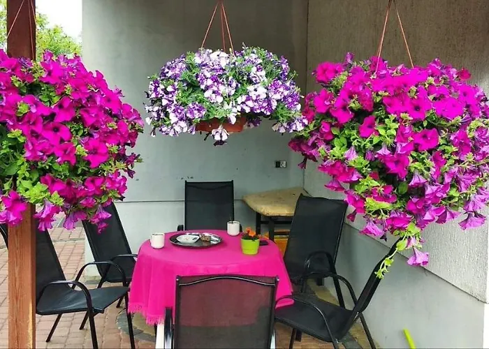 招待所 Latarnik *