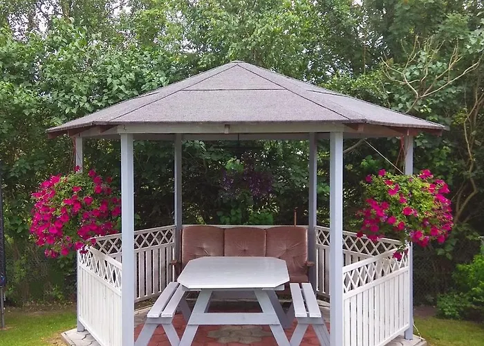 Latarnik * 辛安诺泽蒂